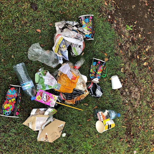 Here&rsquo;s my collection from my 10 min Dog walk on Saturday.

A few people have said to me... &ldquo; Picking up litter won&rsquo;t really solve the problem. We need to get to the source of it and educate people to not litter in the first place&rd