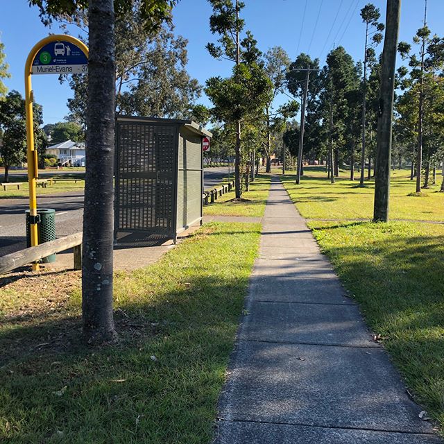 These two pix were taken on the 19th July. And they are very similar to 2 pix that I posted 2 weeks prior to that. 
What I'm trying to say is that Bus stop #37 is squeaky clean again( it used to be a hot spot for litter)  and as you can see in the ot