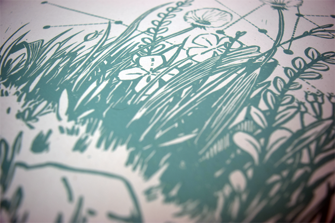 dandelion-website.png
