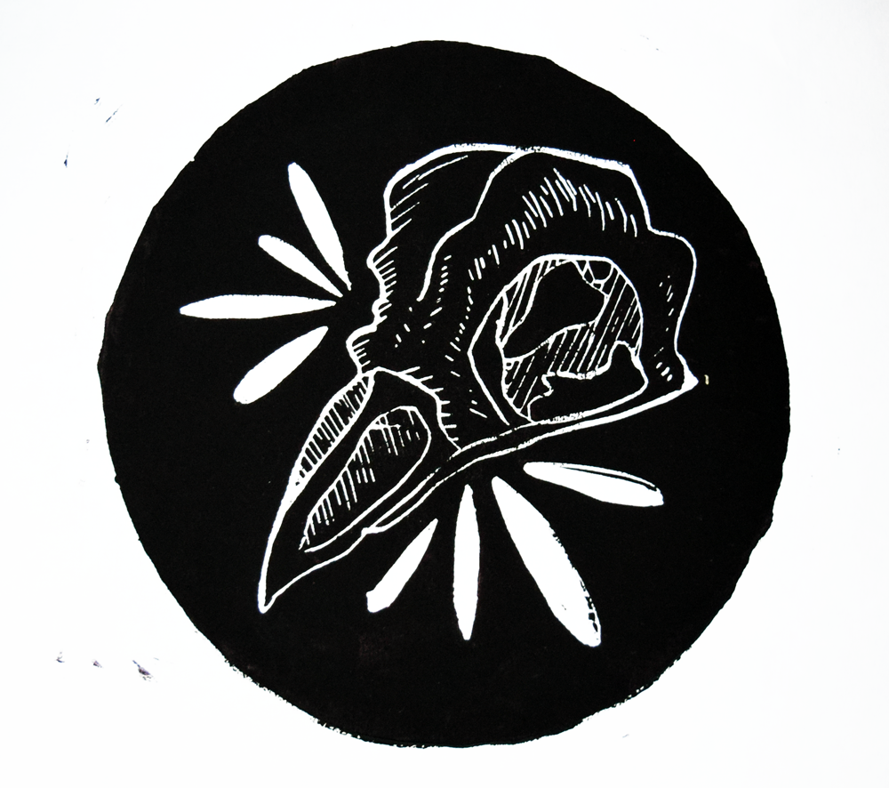 birdskull-website.png