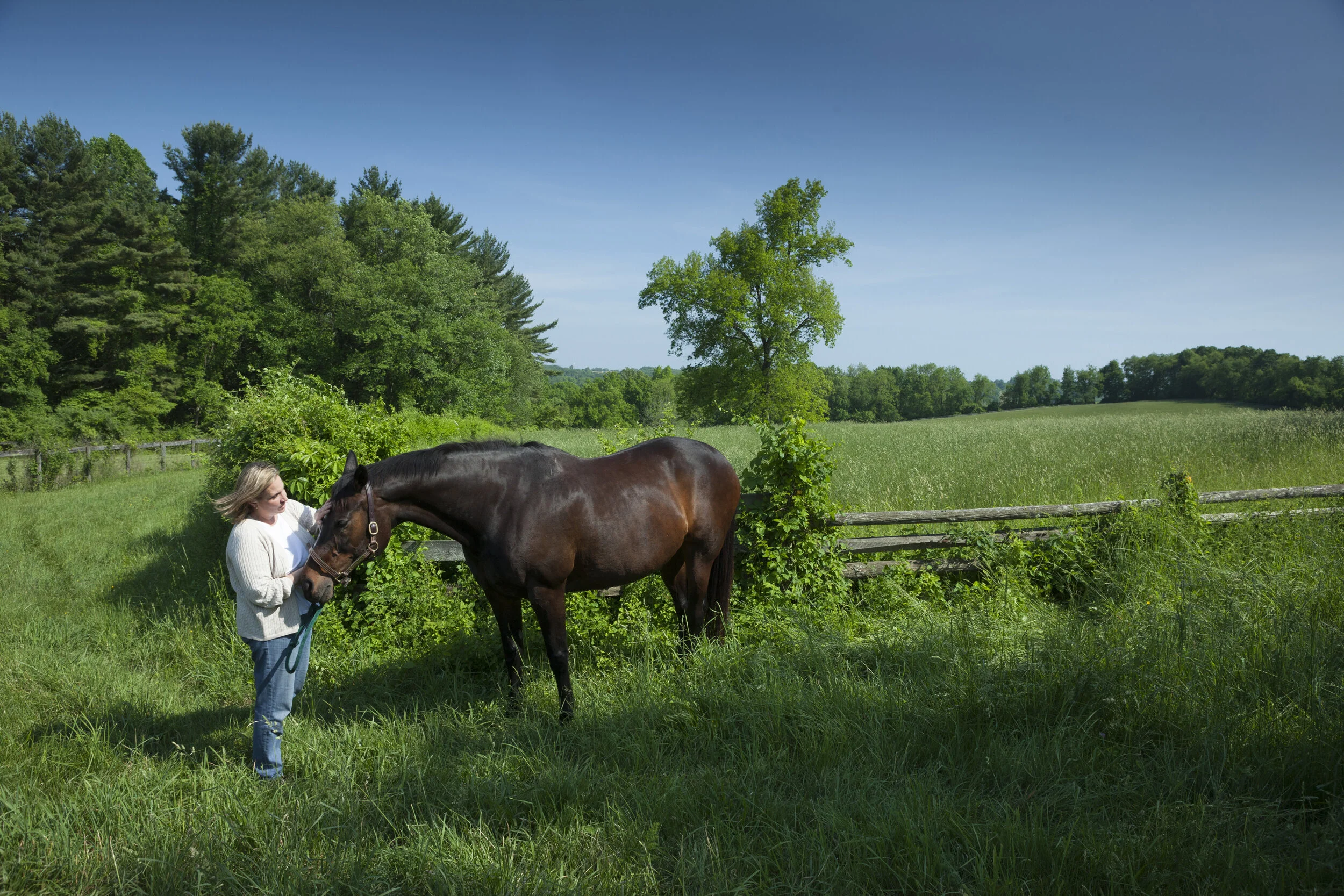 Sappy18-Horse_Dog-130.jpg