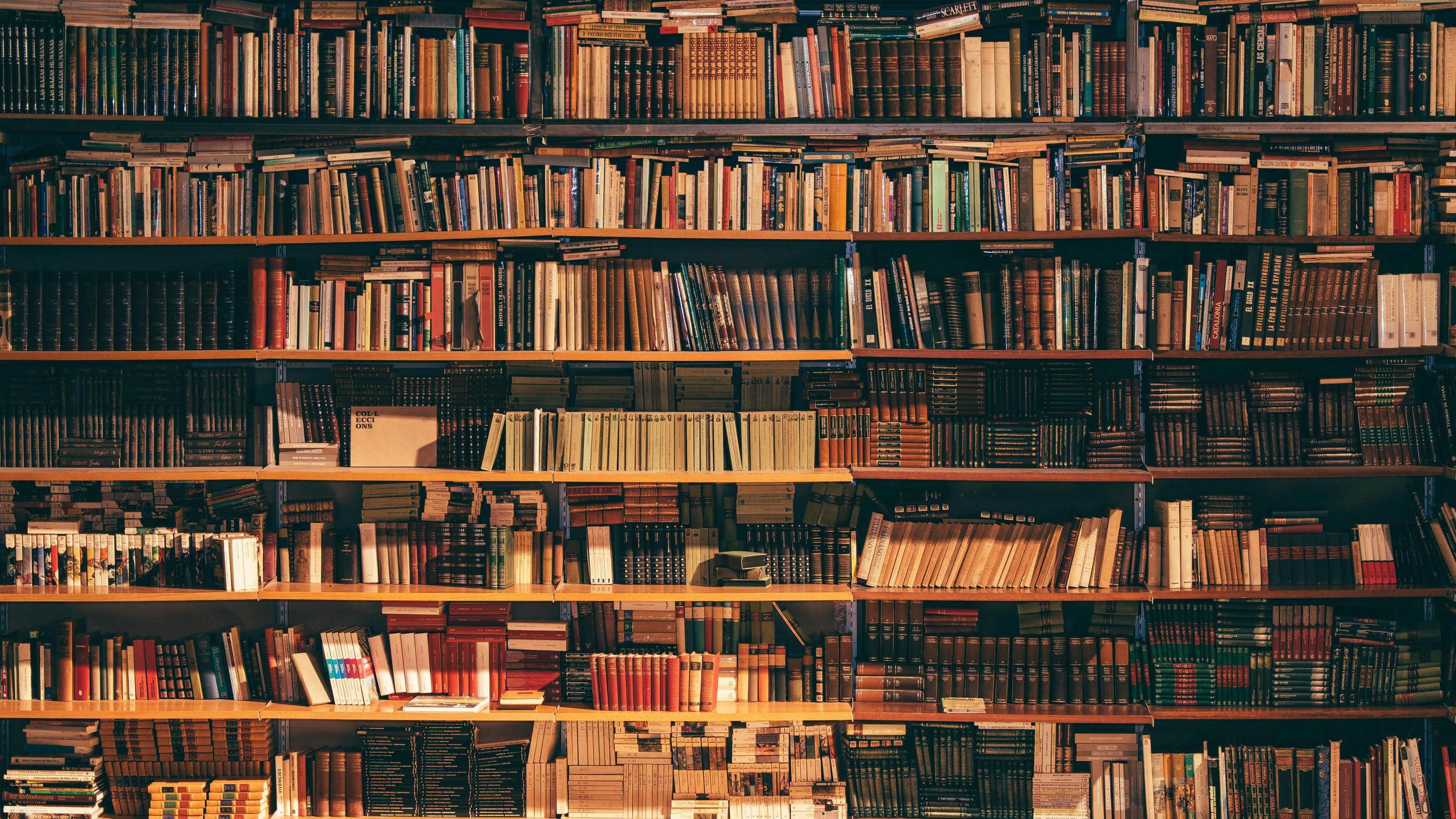 libraryshelves copy.jpg