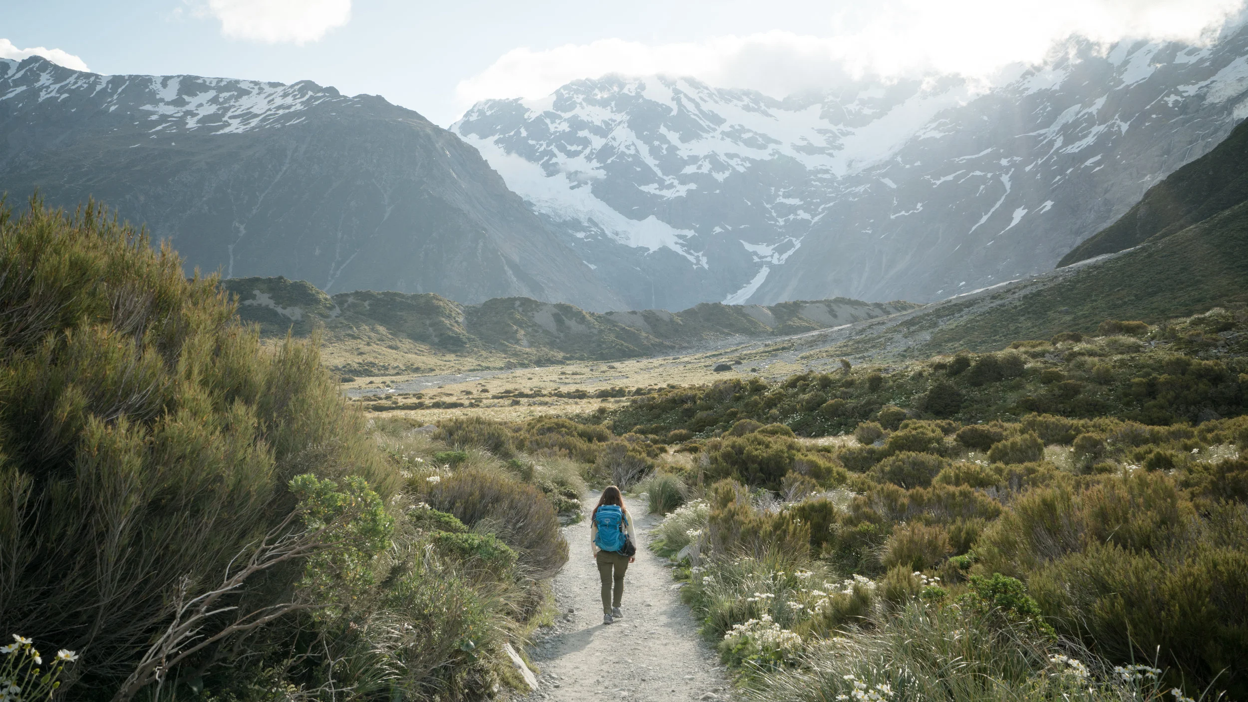 My Favorite Places in New Zealand