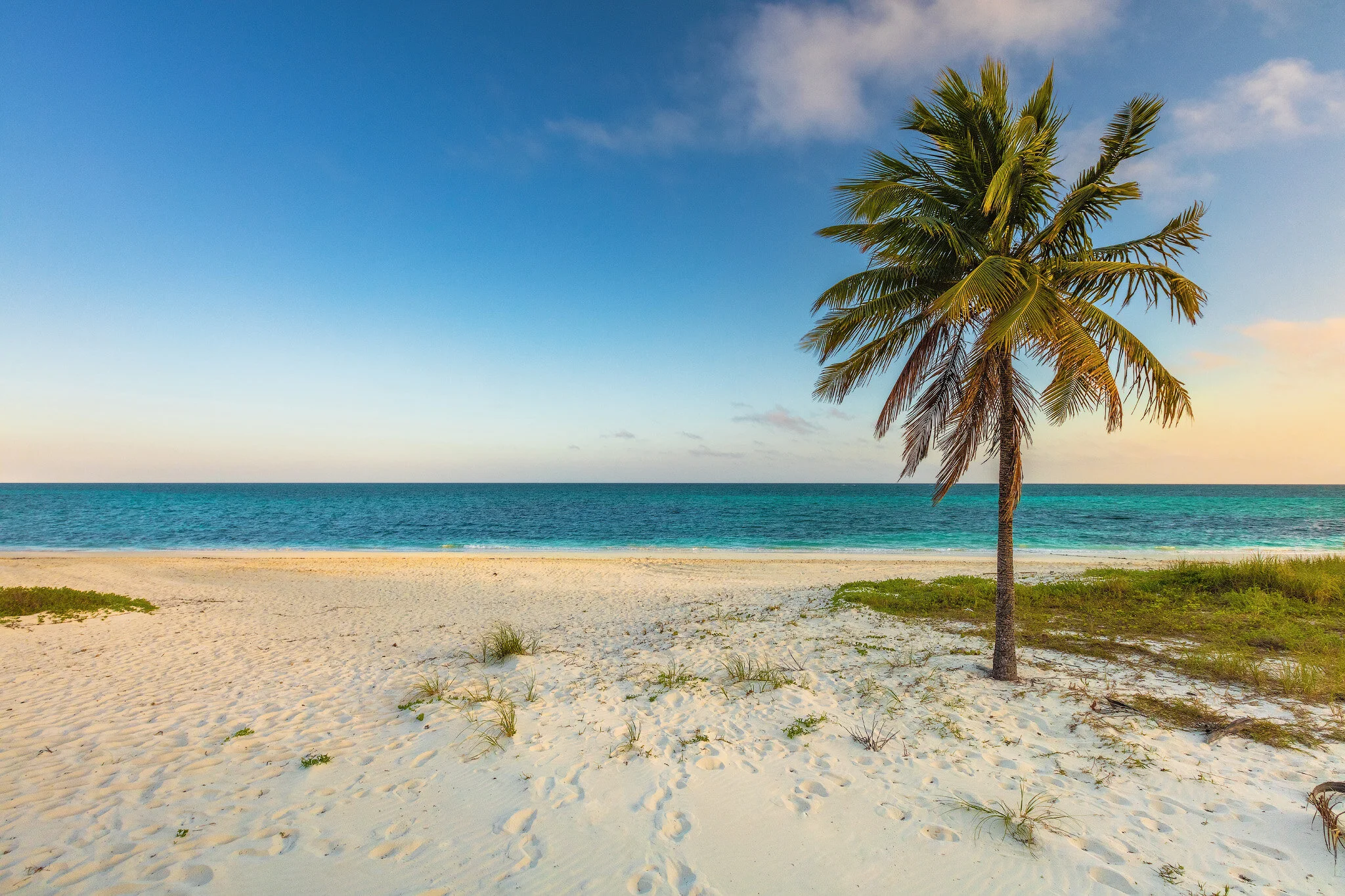 Bahamian_Beach.jpg