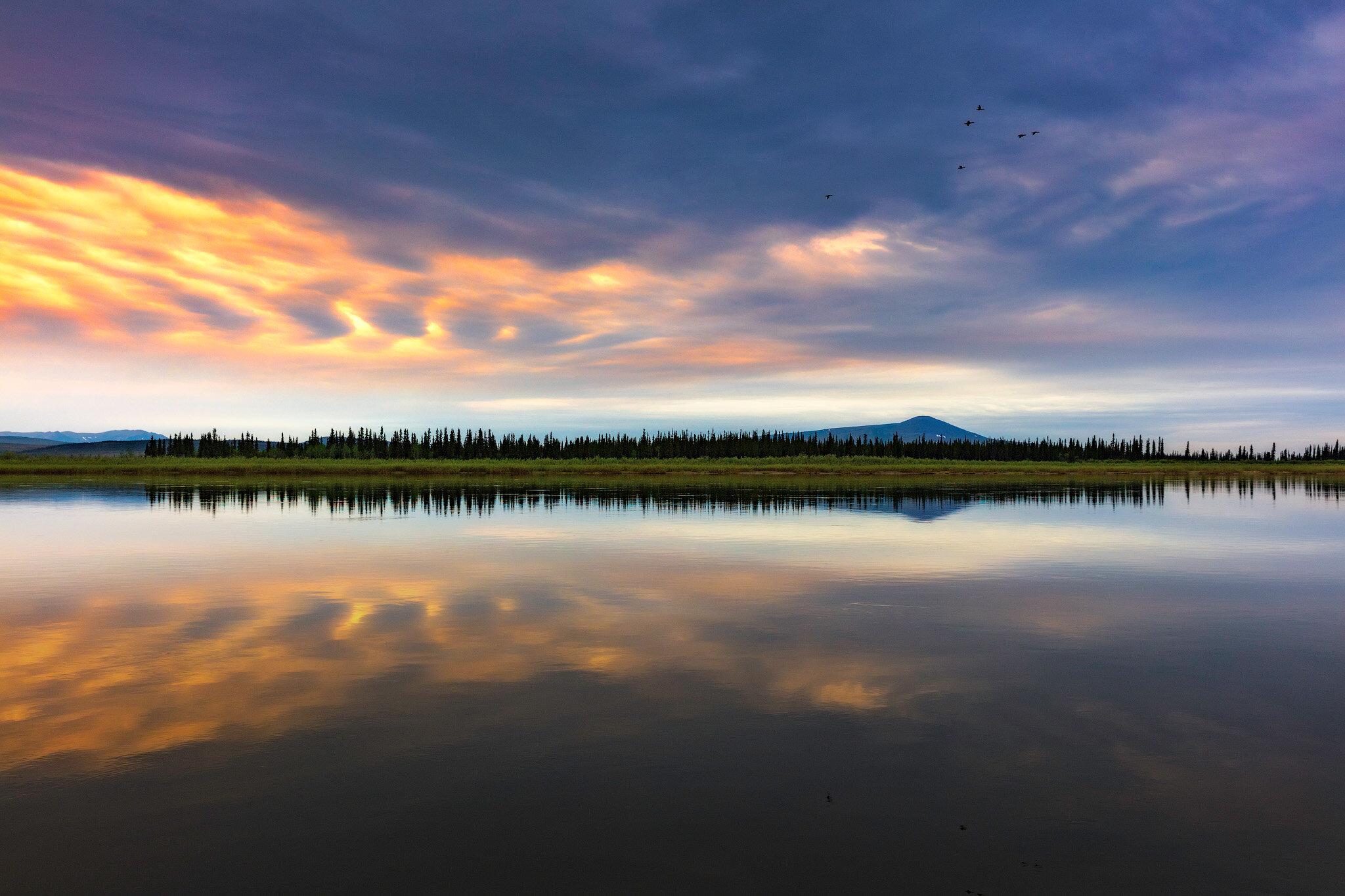 Kobuk_River.jpg