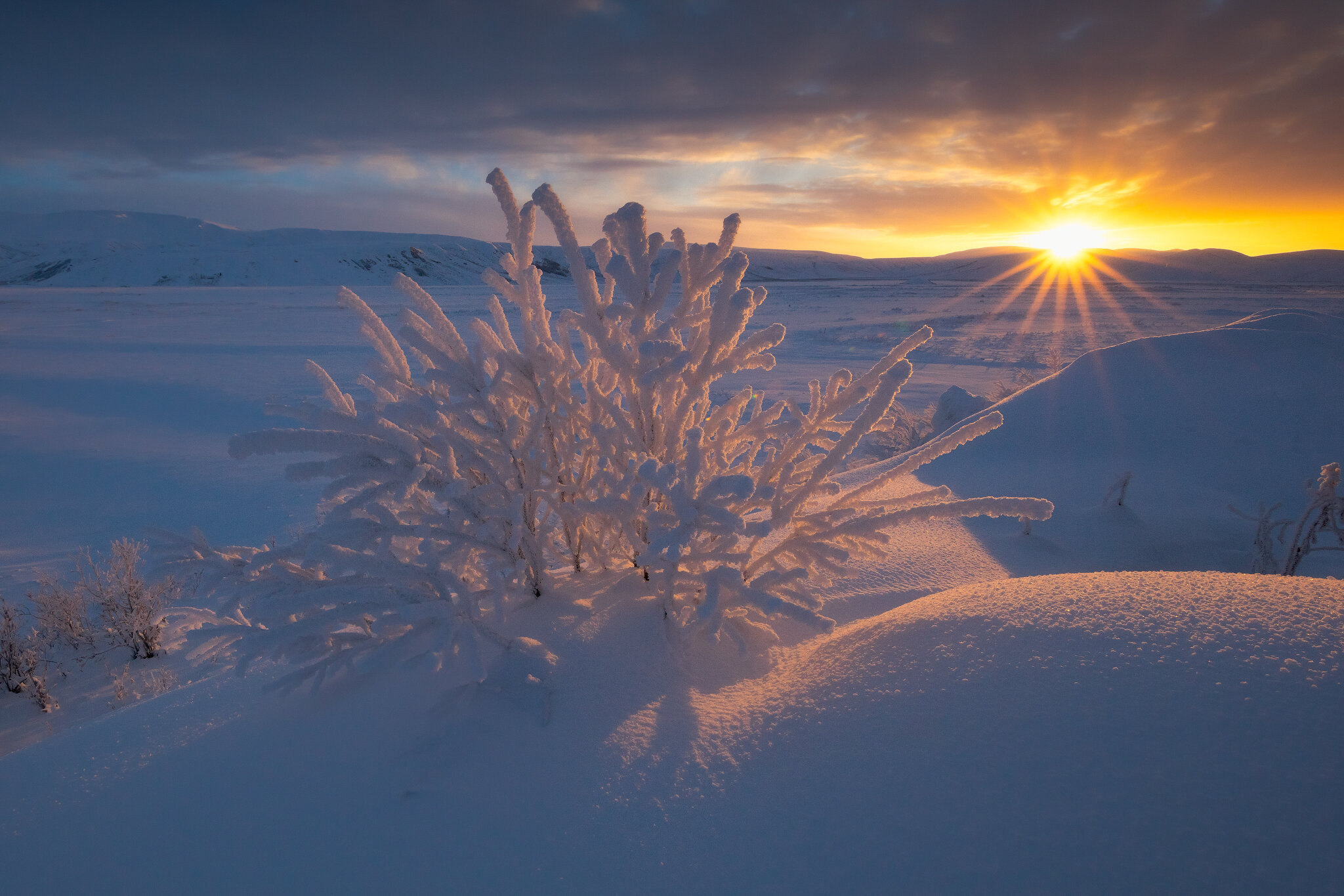 Fresh Winter Morning