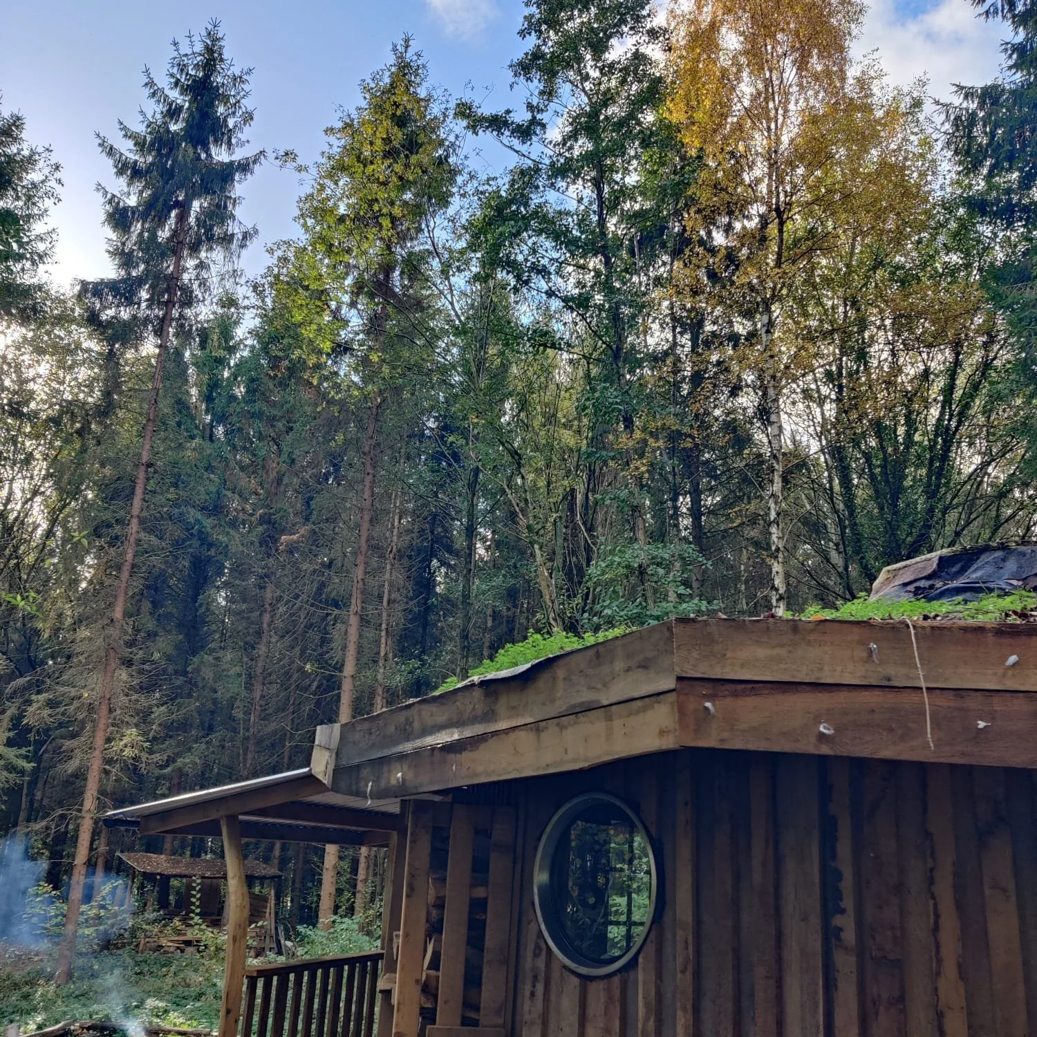 round house and trees 1.jpeg