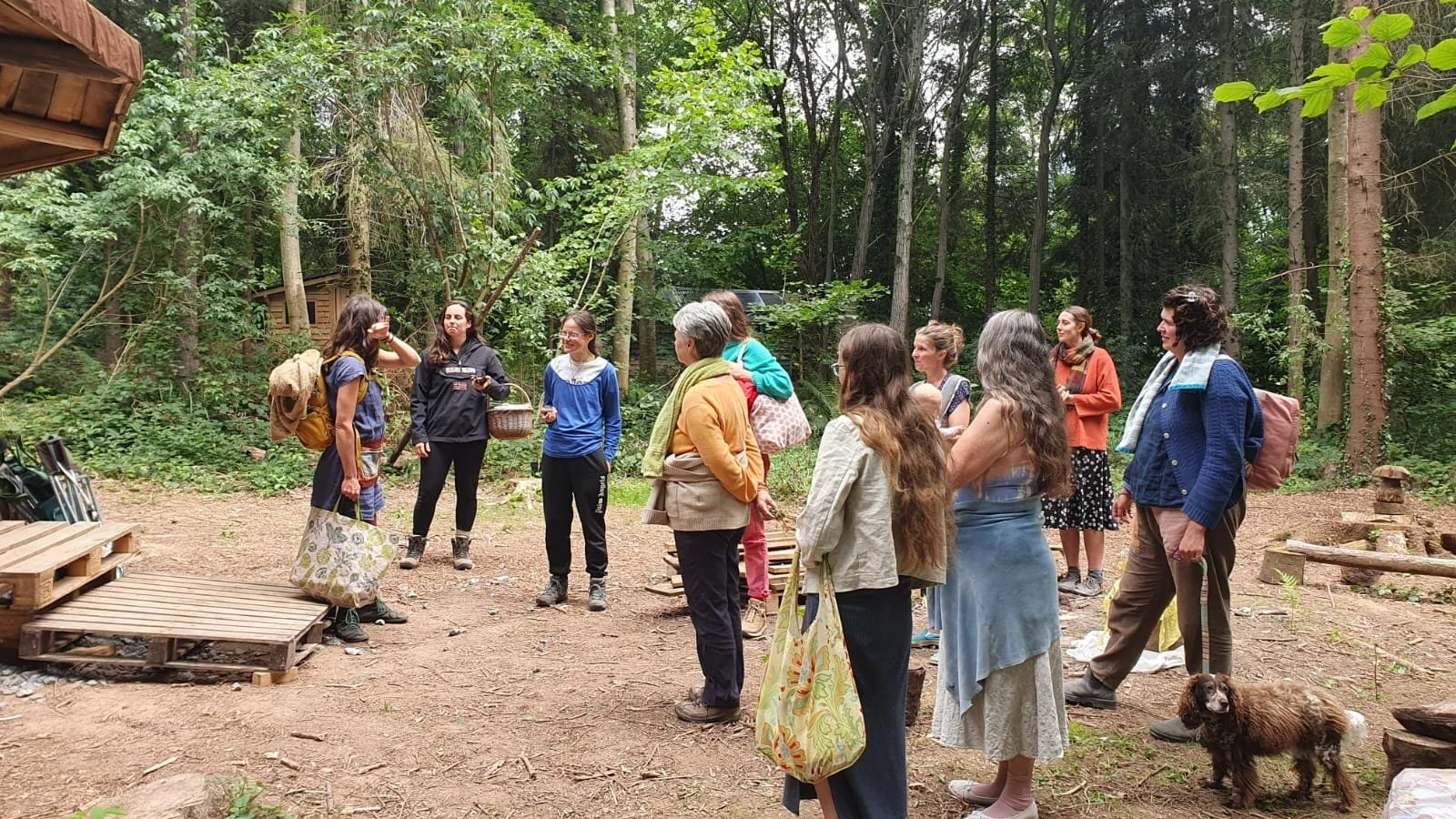 WhatsApp Image 2025-07-10 at 13.50.56_6add52a6.jpg