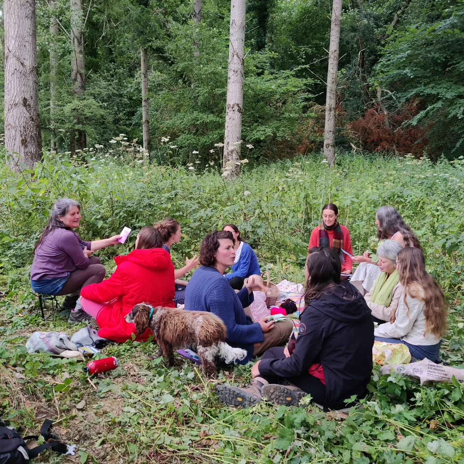 circle july 26 1.jpeg