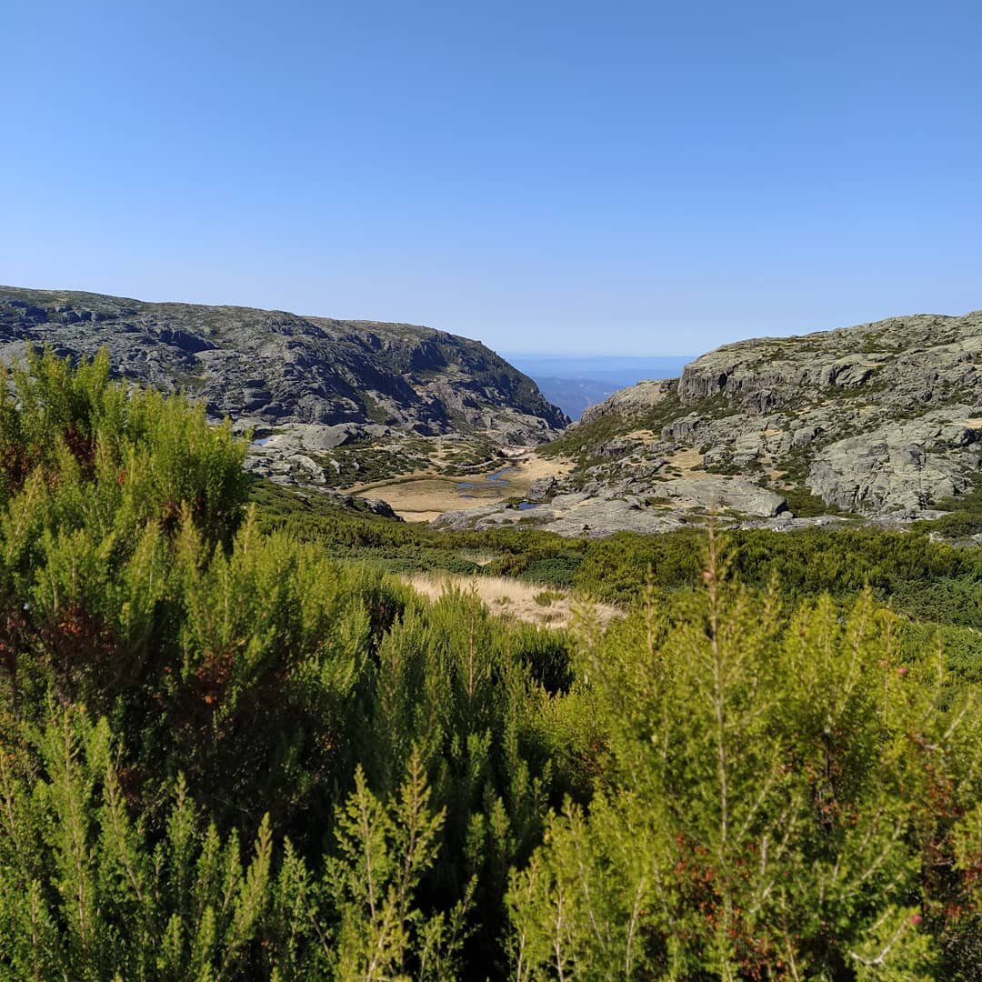 And finally - Part 3 #mountains #serradeestrela #yogawithaview #mountainfix #portugal #mountaingoats #bergblick #hiking #torre #yoganalovethis #condethedog #bordercolliesofinstagram #hikingdogsofinstagram #happyholidays