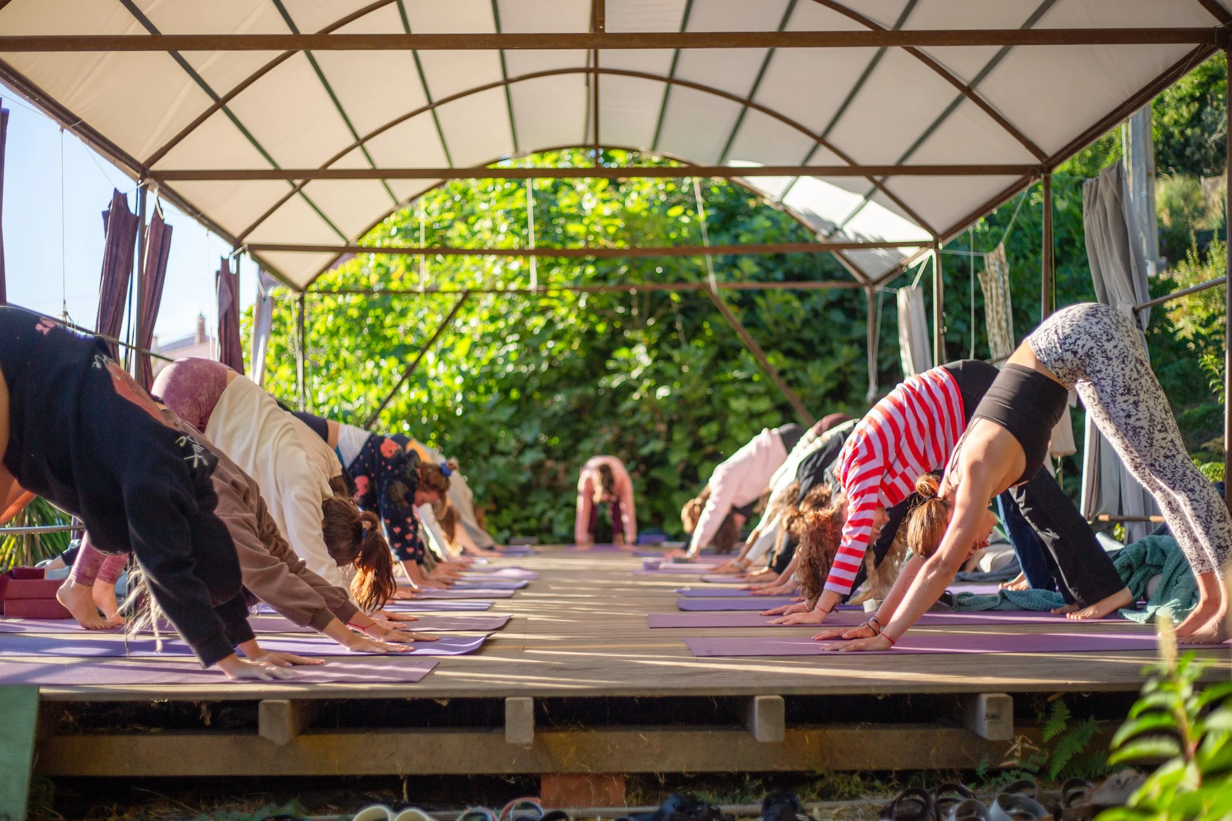 WhatsApp Image 2025-12-15 at 03.14.29 (2).jpeg