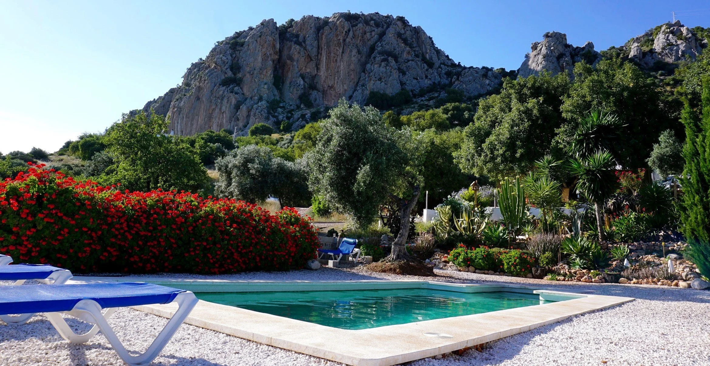 Pool LandscapeJPG.JPG