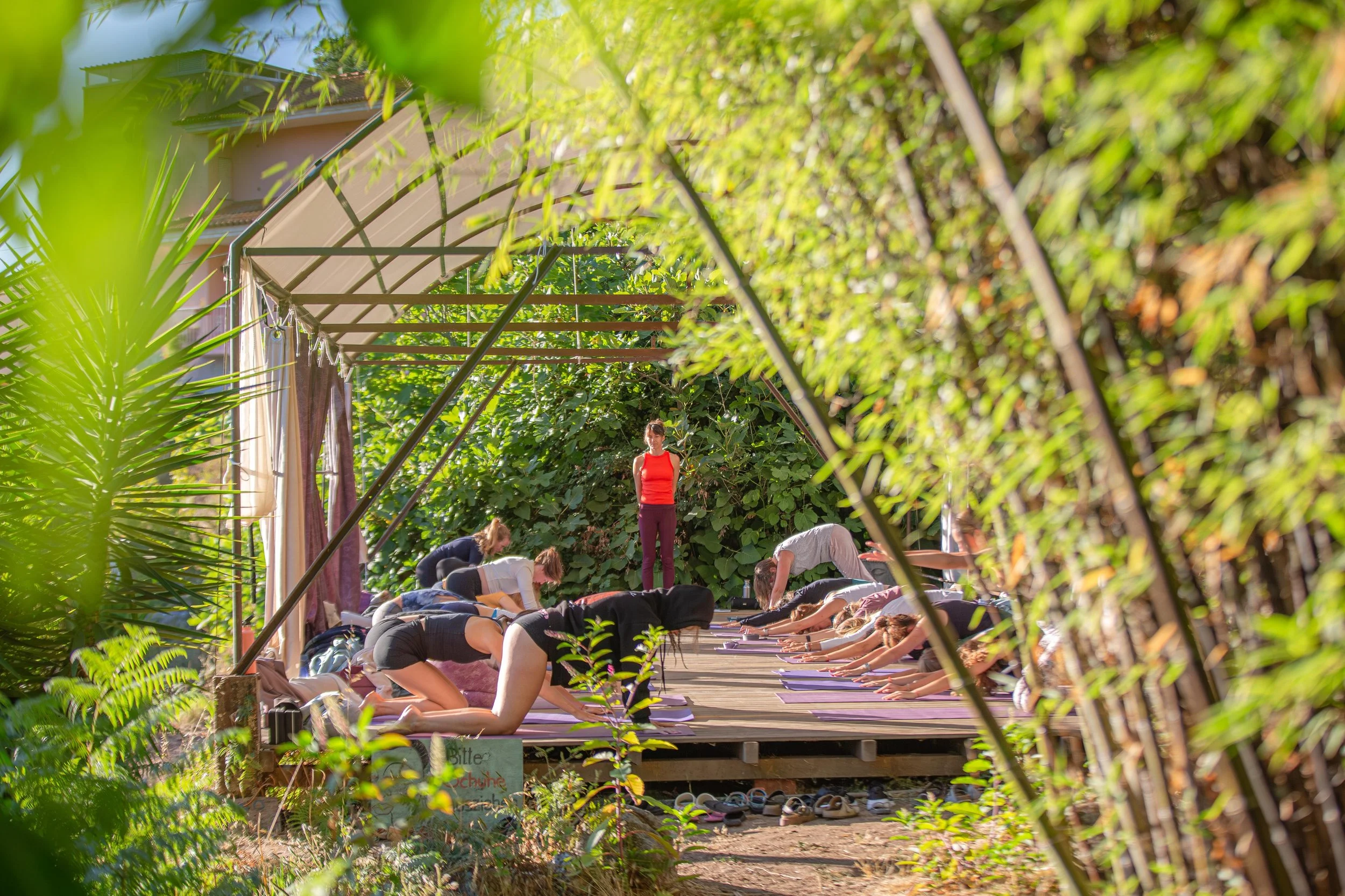 WhatsApp Image 2025-12-15 at 03.14.29 (1).jpeg