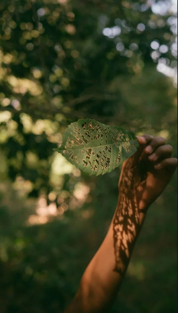 WhatsApp Image 2025-07-20 at 23.48.39.jpeg