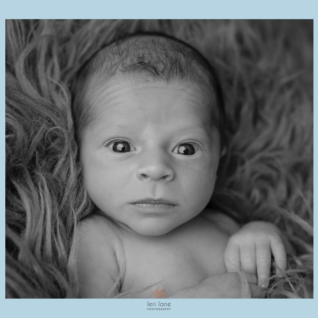 Hello world.

As much as I love the sleepy newborns, George arrived wanting to check out what it was all about&hellip; sleep soon came but I am so glad we had these eyes open shots. He is just yummy!