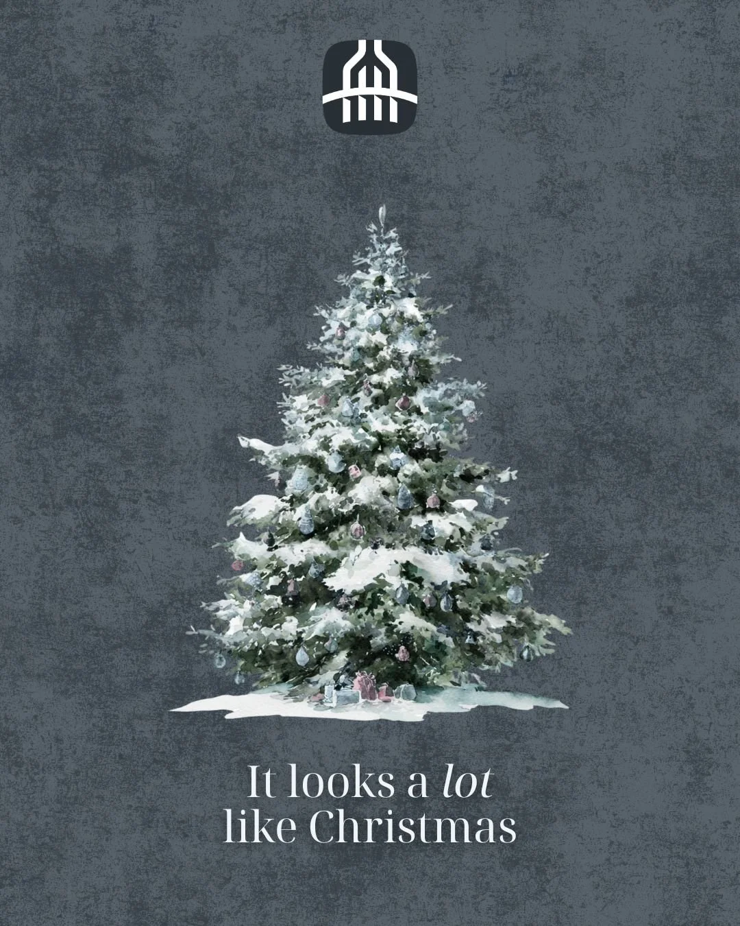 Merry Christmas from all of us at The Full Range 🎄✨

We&rsquo;ve loved seeing all the festive decorations during our recent client visits amidst the busy festive season. Swipe along to see some of our clients&rsquo; wonderful decorations.

Wishing a