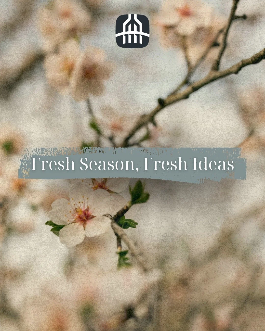 Spring is the perfect time to reset your menu, refresh your ingredients and bring new energy into your kitchen.

From vibrant wild garlic and sharp seasonal rhubarb to early fresh greens, now&rsquo;s the moment to start planning dishes that celebrate