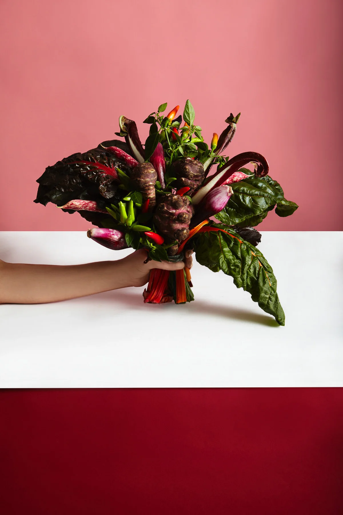 10-icon-artist-management-katie-hammond-food-wild_and_red_222_ret_flat.jpg