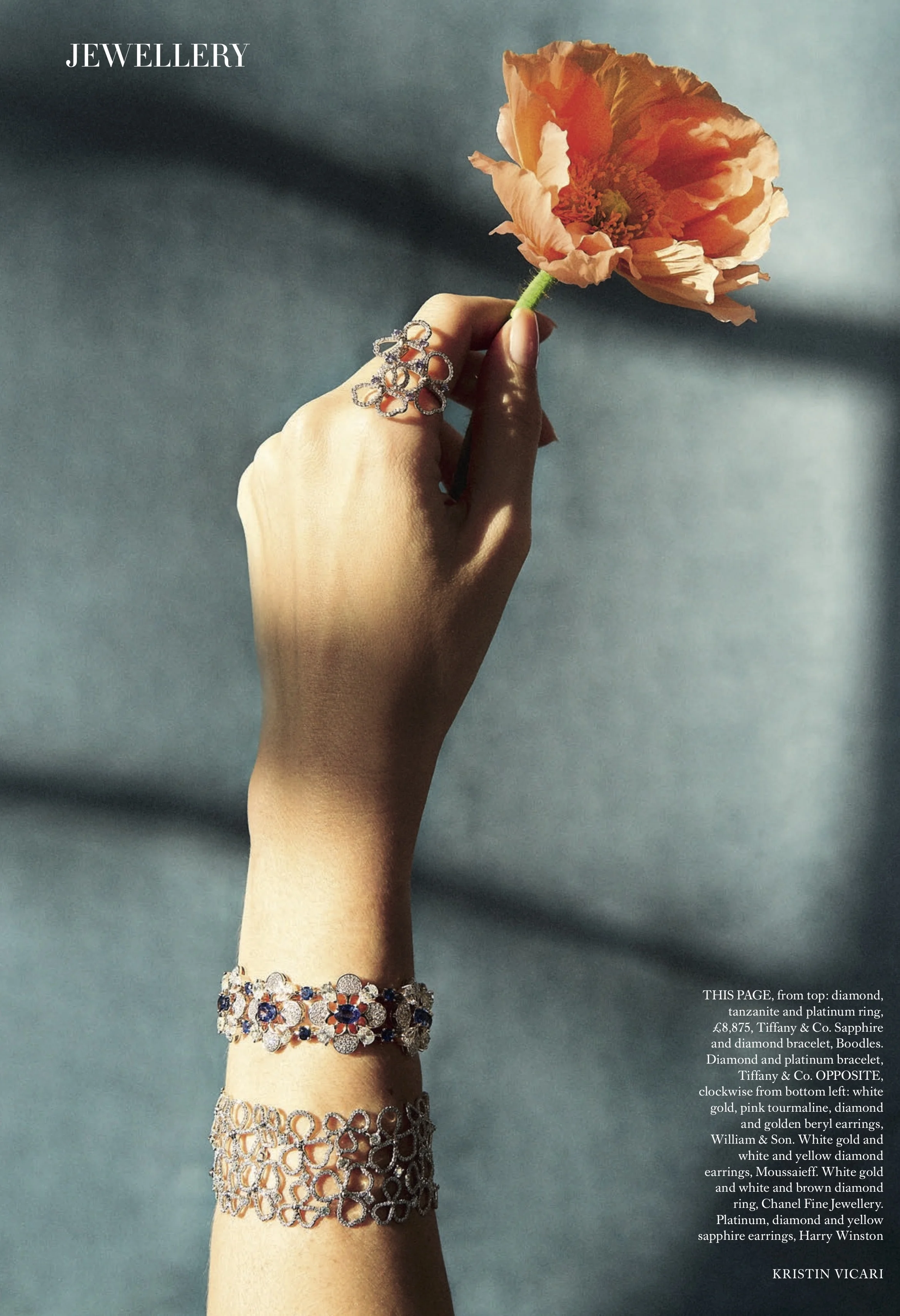 JEWELLERY MAIN FLORALS V2 (PDF Spread).jpg