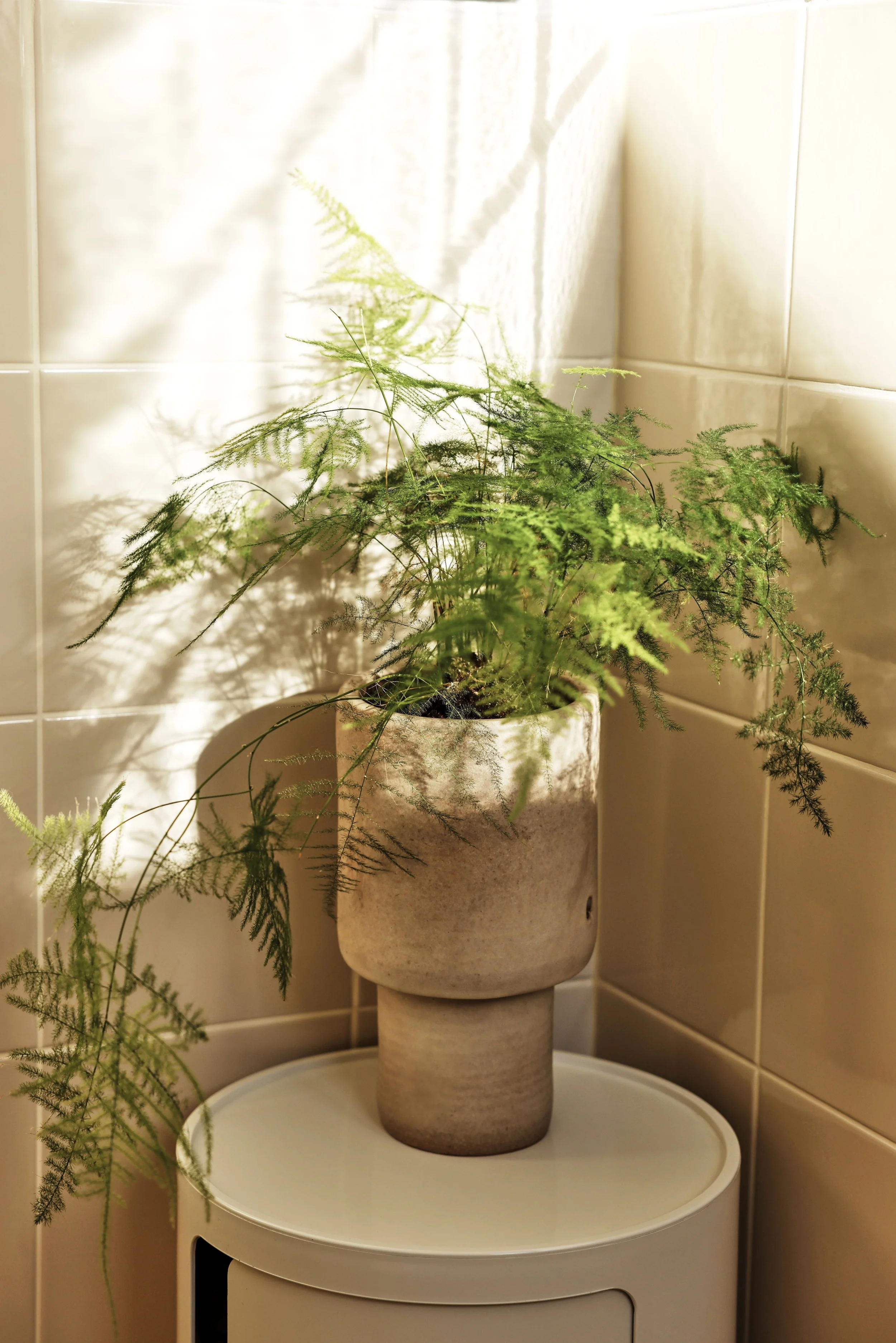 Puy Ceramics Brand consulting by Nu Valado