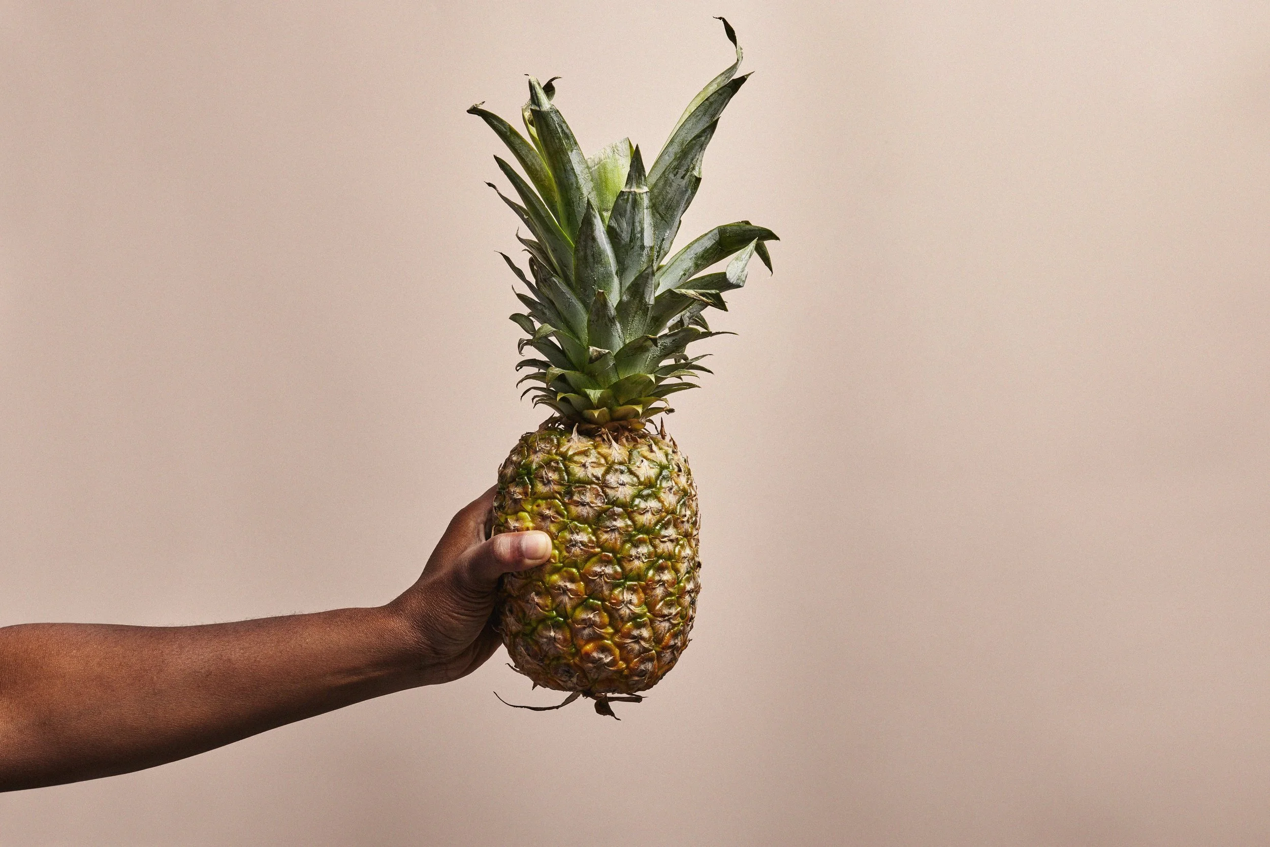 Trap Fruits by Katie Hammond