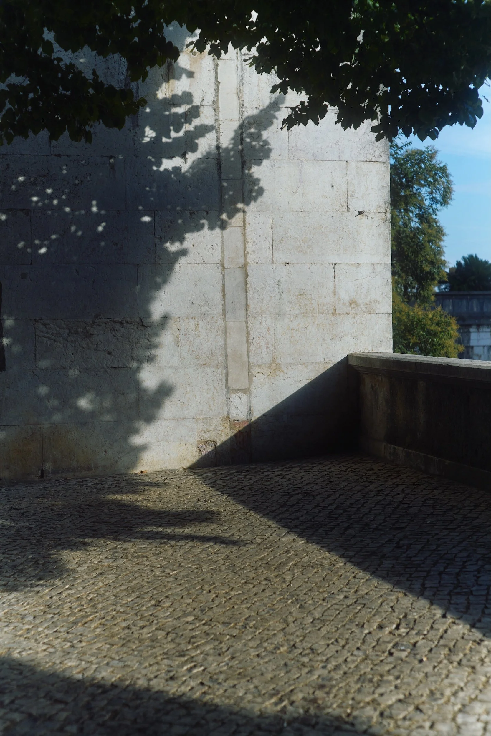 DSC00785.jpg