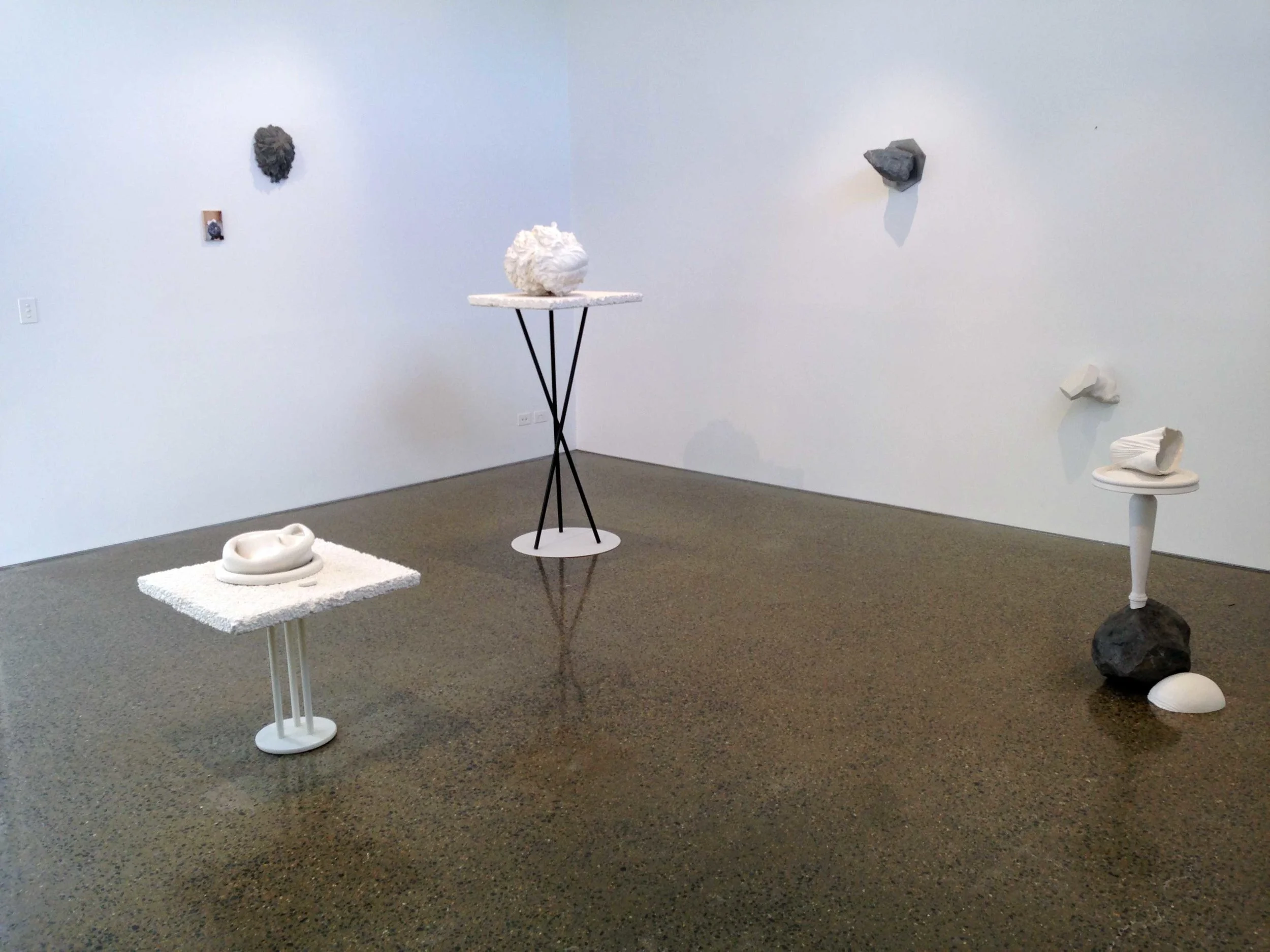 Robb_Loss_Control_II_view_2_2014_opt.jpg