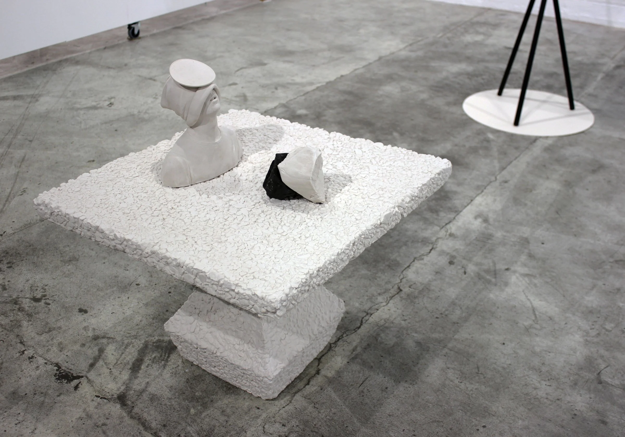 ROBB-Pleurant-II-2013-1.jpg