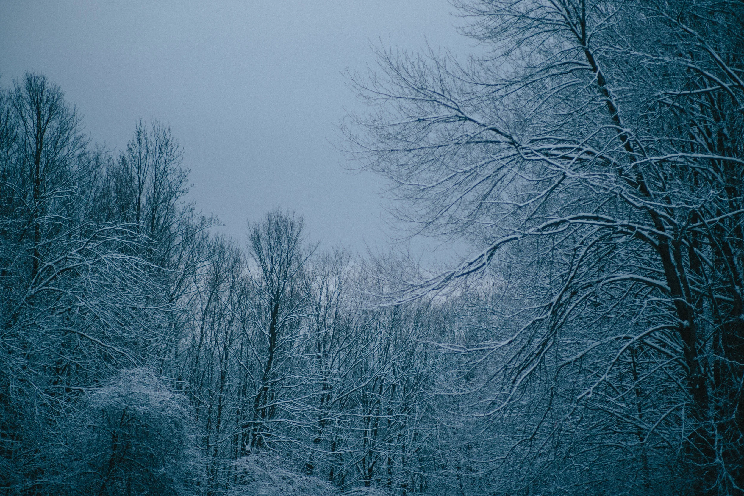 _N8A6218.jpg