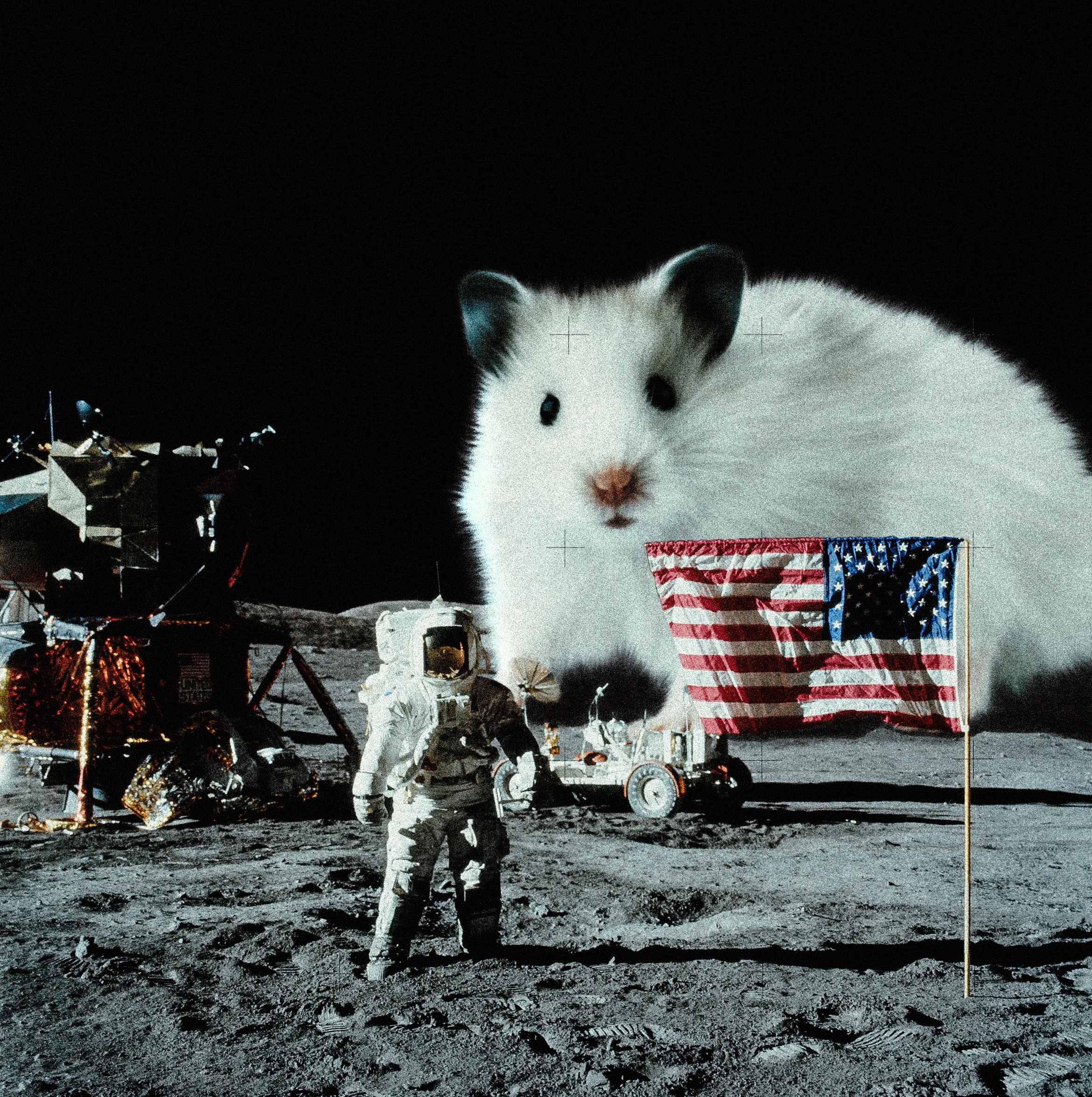 moonmouse.jpg