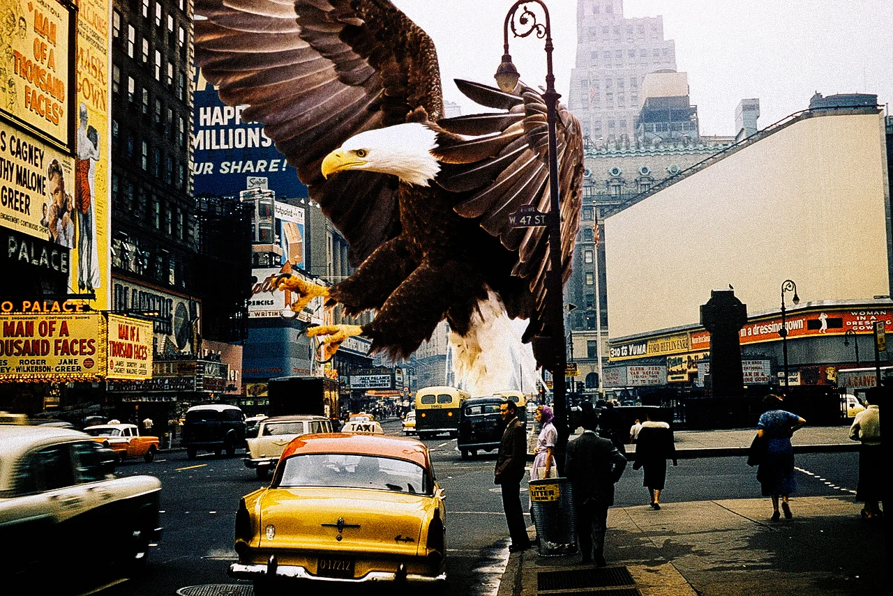 eagle01.jpg