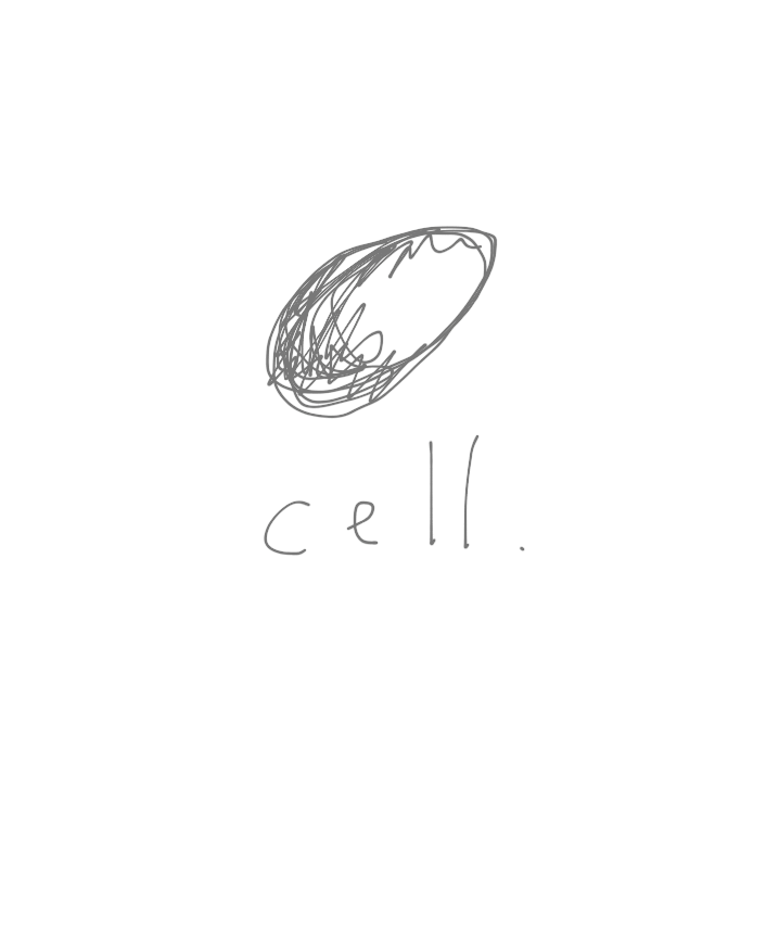 64331aa5-25a4-45dc-9fed-86e32267c2a5.png