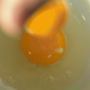 colors01_300px_50.gif