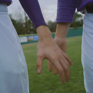dsgbaseball02_300px_50.gif