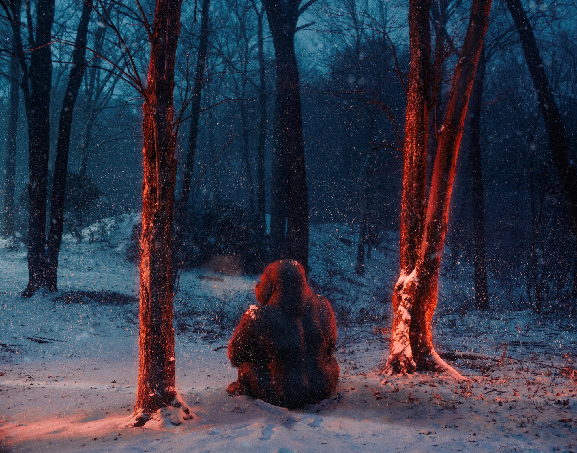 wintergorilla_edit04.jpg