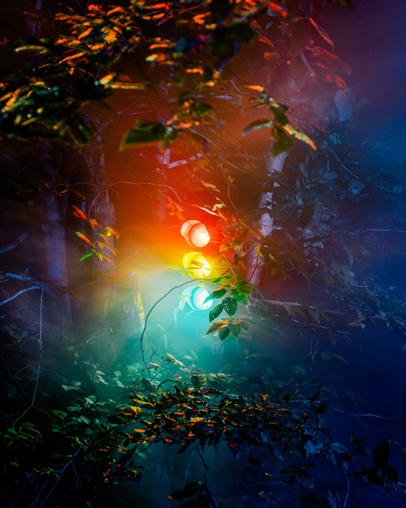 2020_08_11_trafficlight.jpg