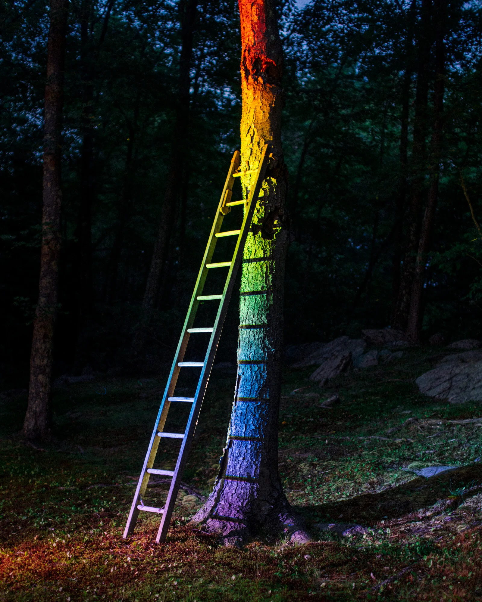 rainbowladder.jpg