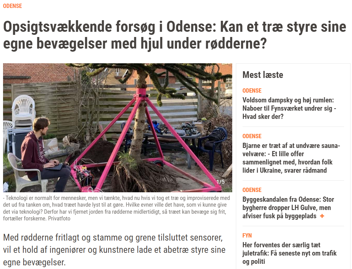  Newspaper article about the cyborg tree - link to the full article is  here . 