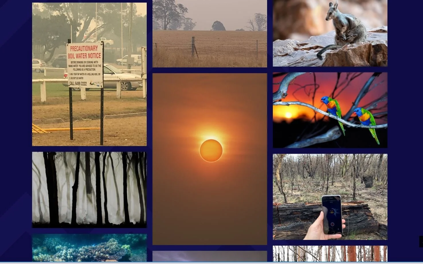 Exhibitions — Museums & Climate Change Network