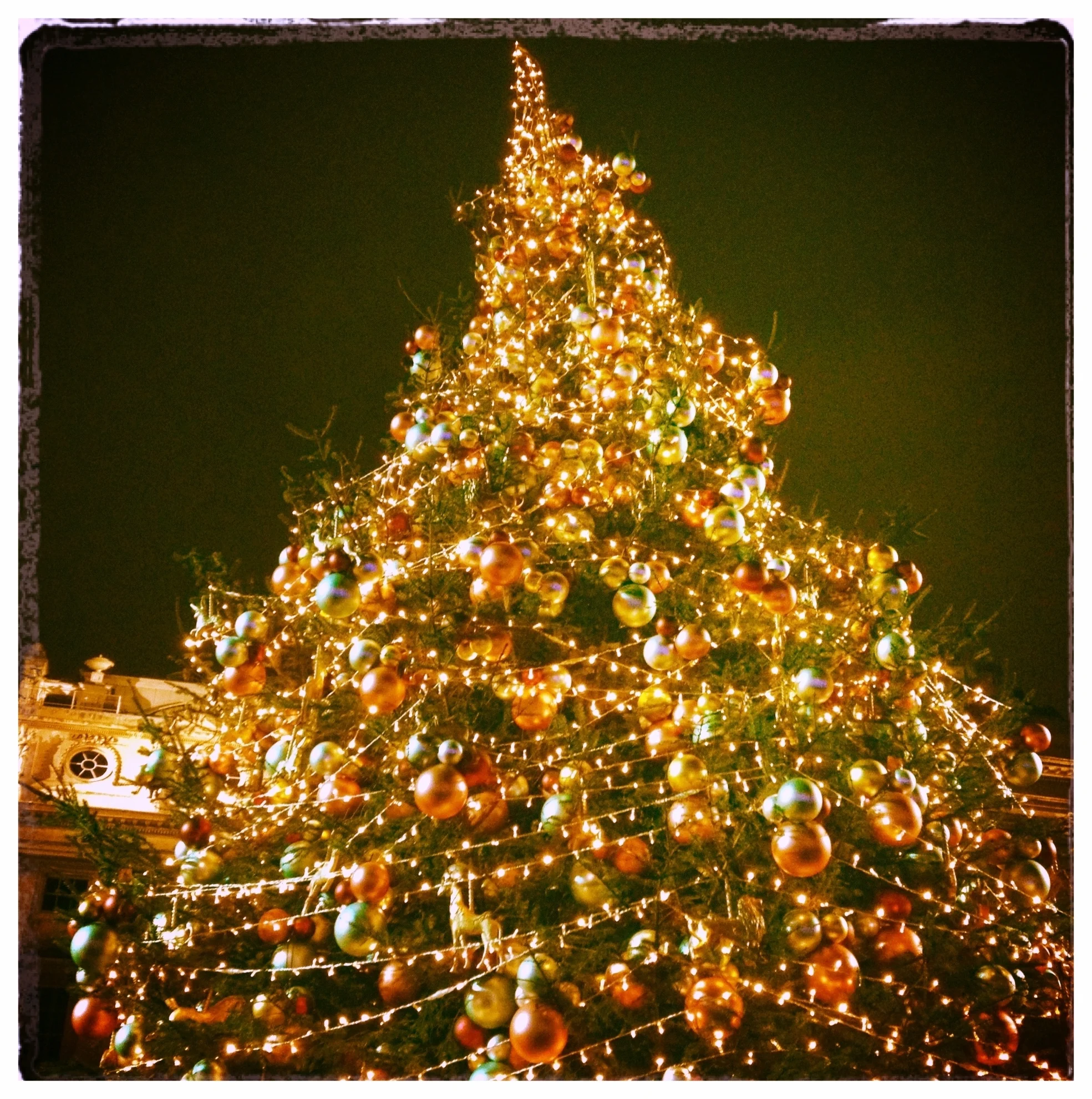 A Sustainable Christmas - Part One