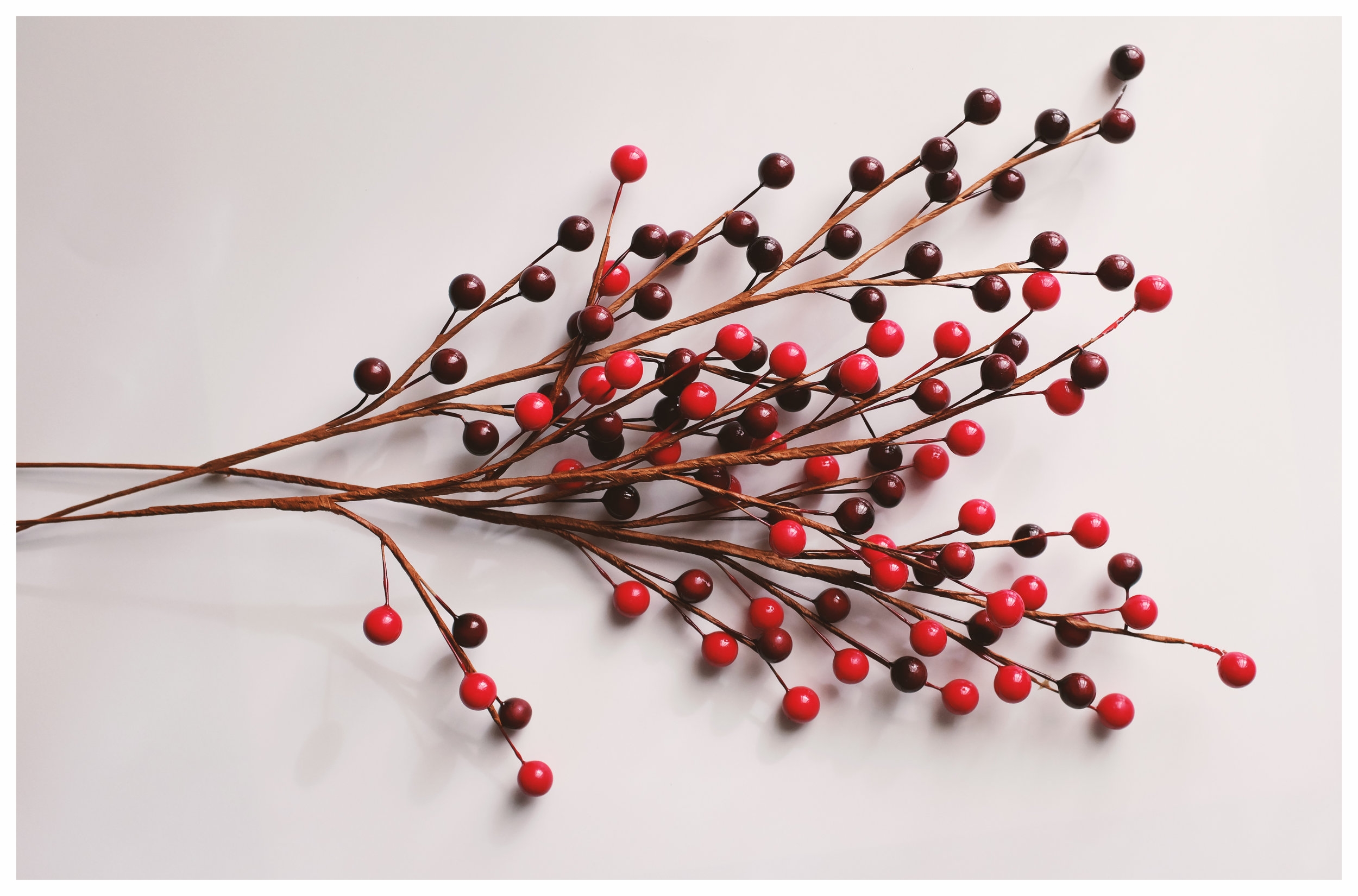 A Sustainable Christmas - Part Three