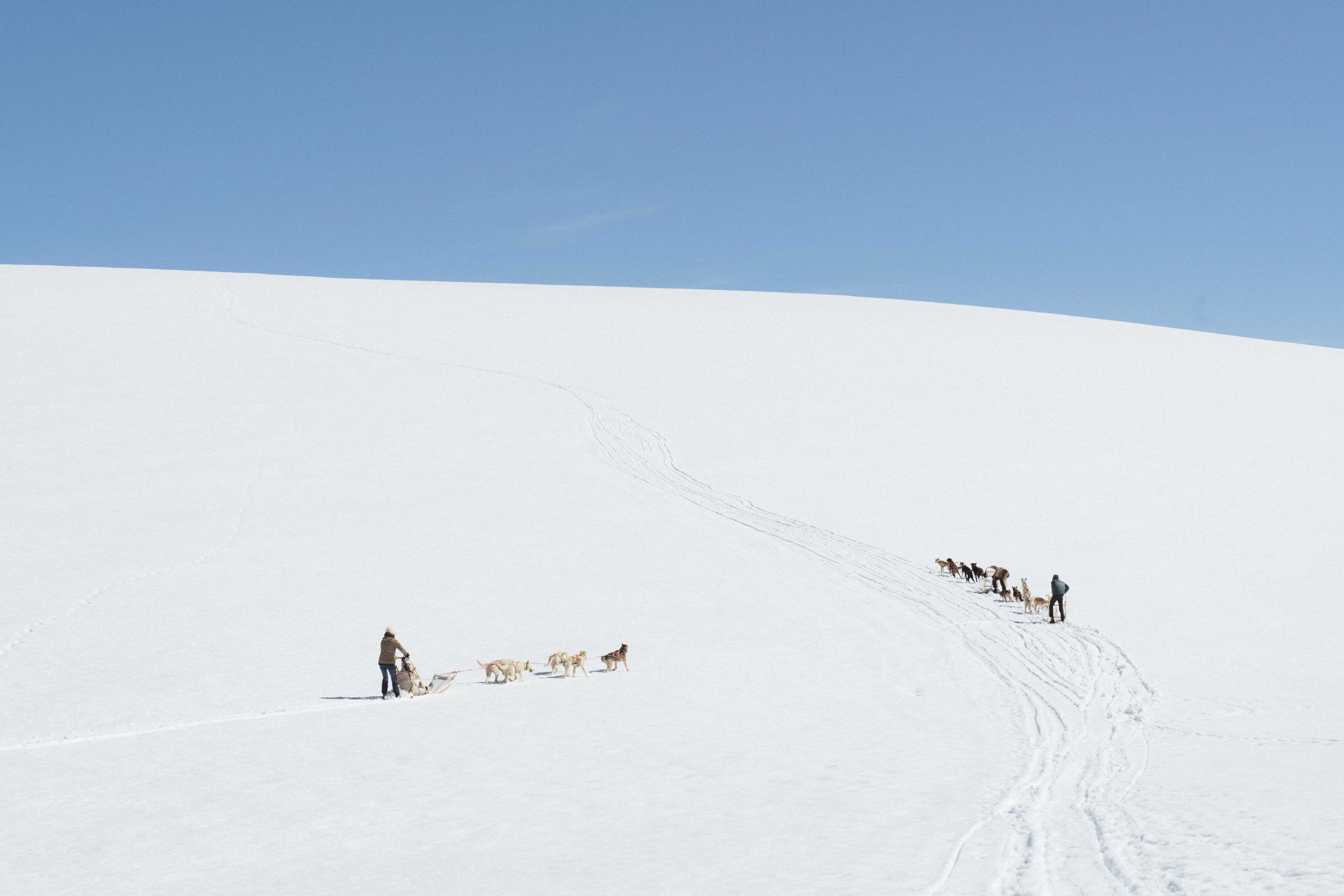 Fona husky camp, Yrjan Olsnes 2024 -0489.jpg