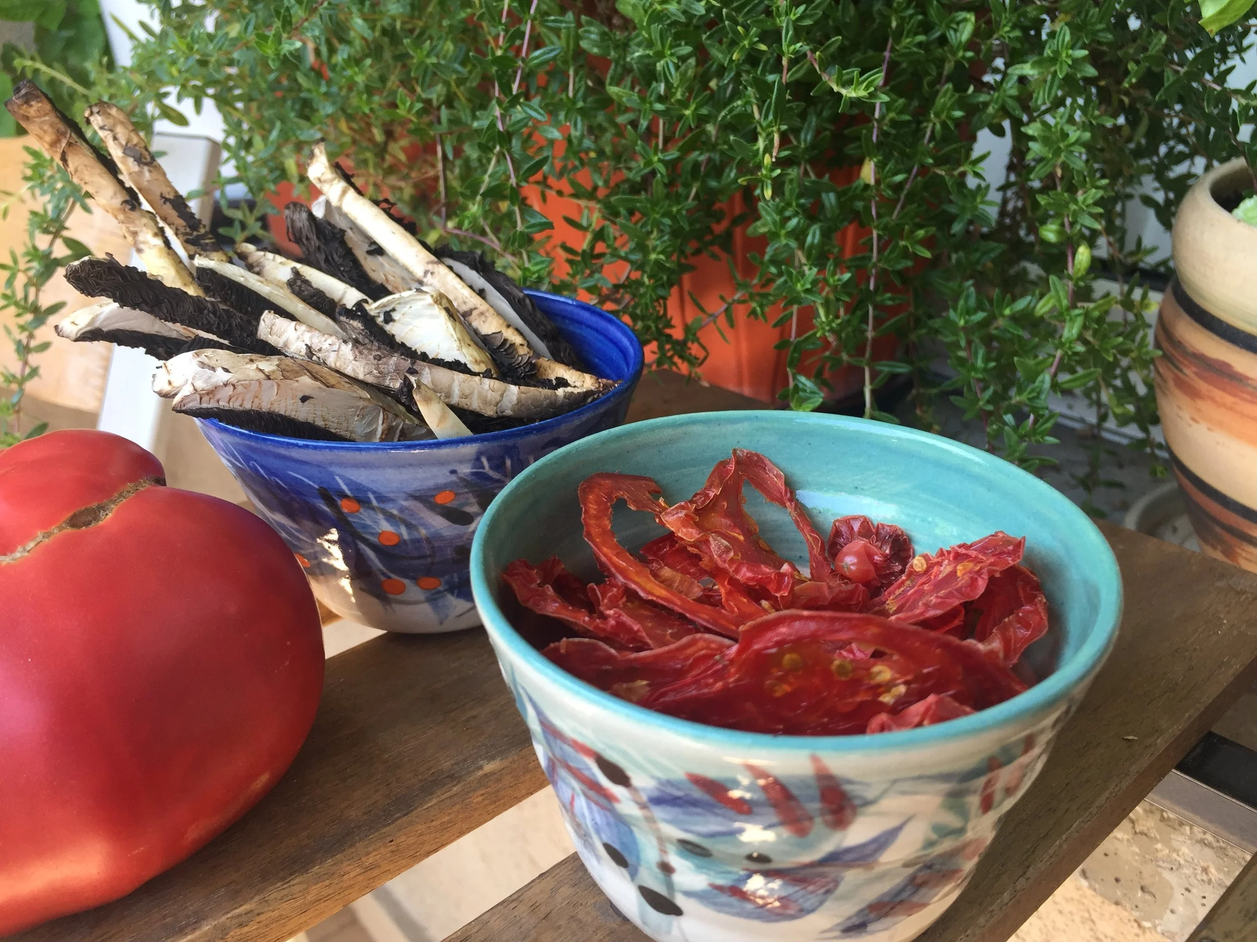 Какво е хубавото на домашно сушените плодове и зеленчуци - всичко за дехидрацията