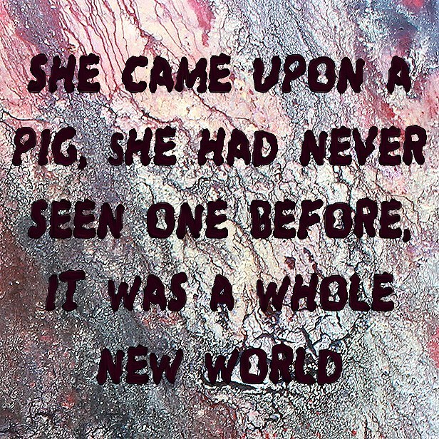 Fat. Wires. Entrails. Organs. Here it was at last - civilization. Matches, weed killer, medicines; wine corks, shoes, crayons; gloves, shampoo, soap. Commodity of commodities; a slaughterhouse cornucopia. Everything the modern antiseptic world needs.