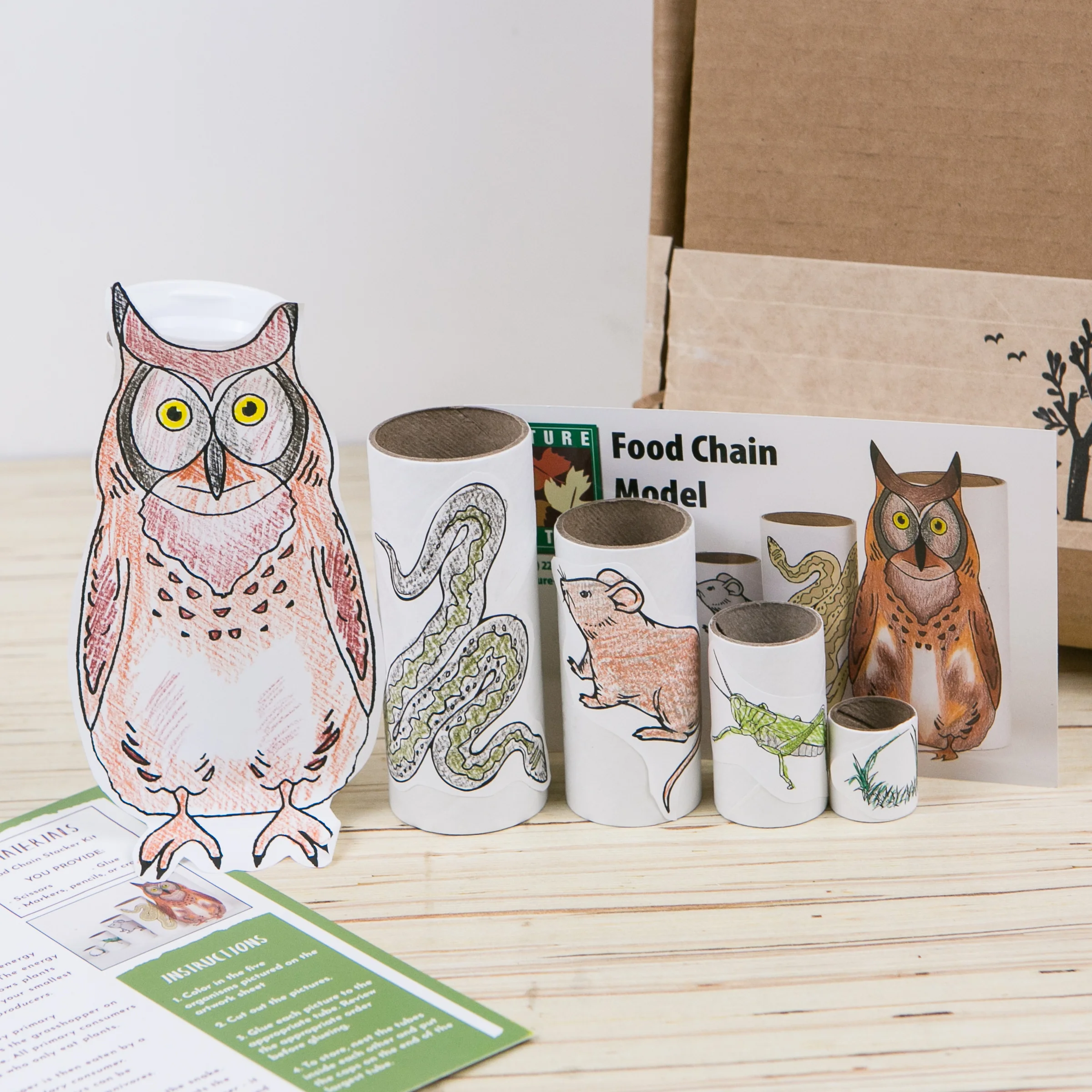 Stackable food chain model, featured in the Wonderkin Owl Box