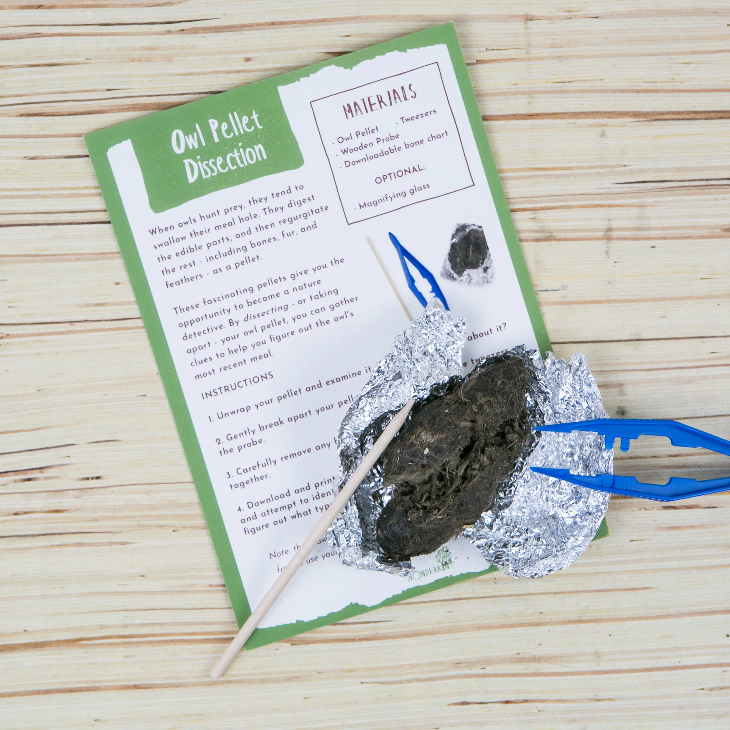Owl pellet dissection kit, featured in the Wonderkin Owl Box