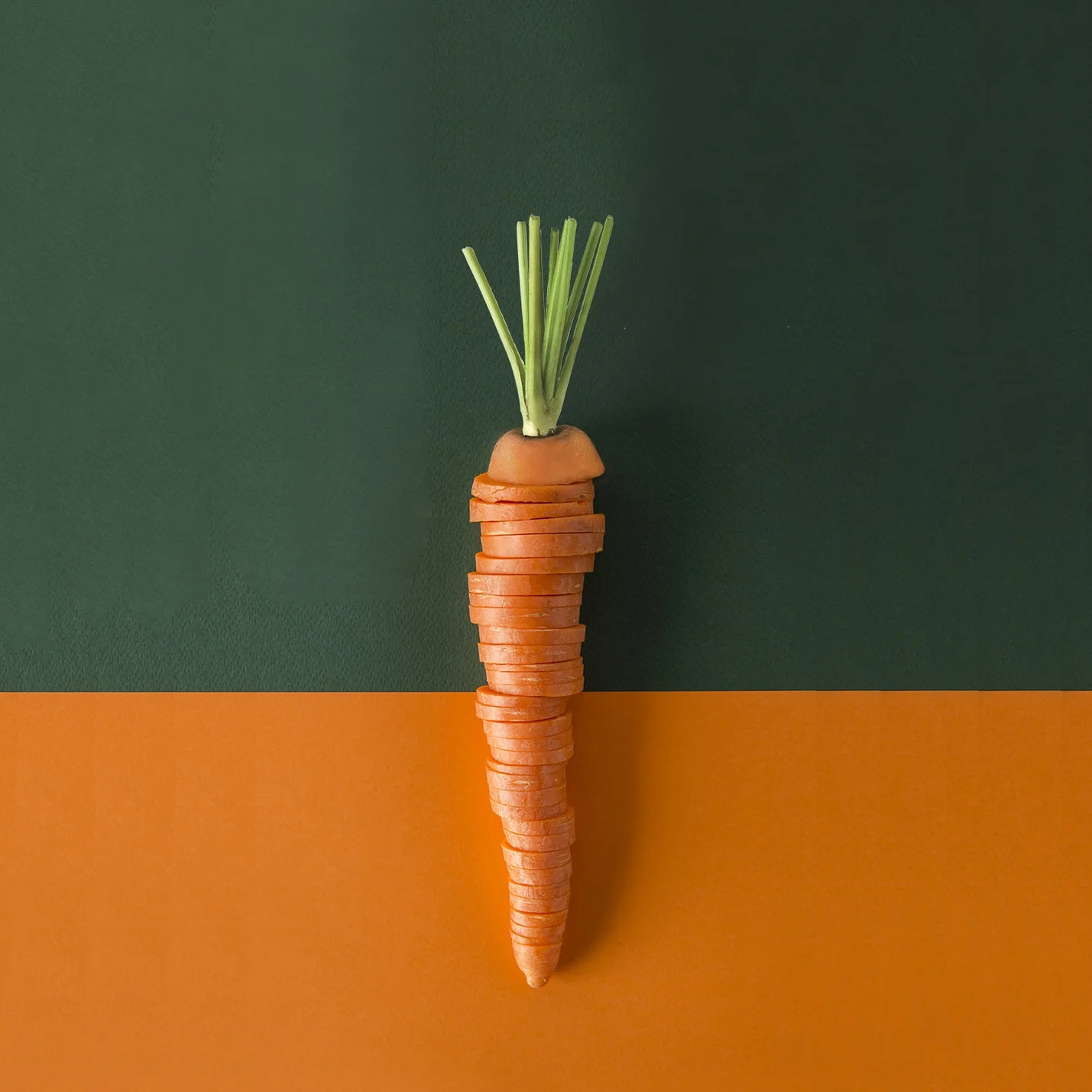 ALLVEG0279_e_lq_Cover.jpg