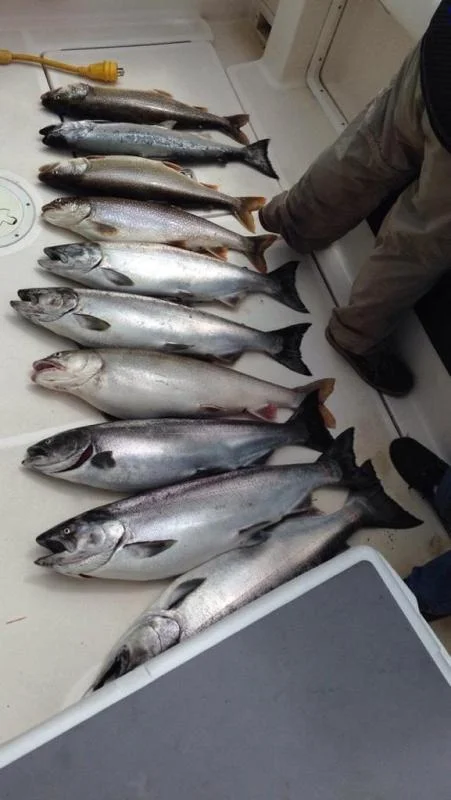 Manistee Day 2 Catch.jpg