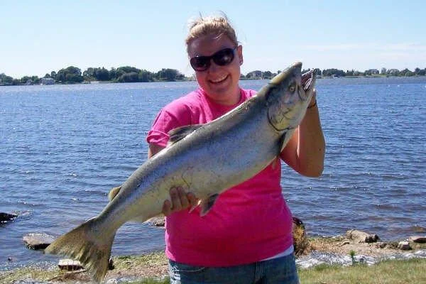 phoca_thumb_l_100_1520.jpg