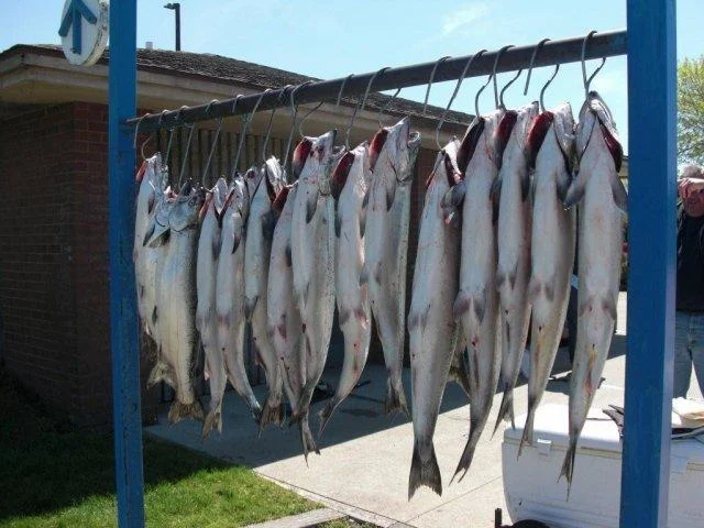 phoca_thumb_l_cimg0276.jpg
